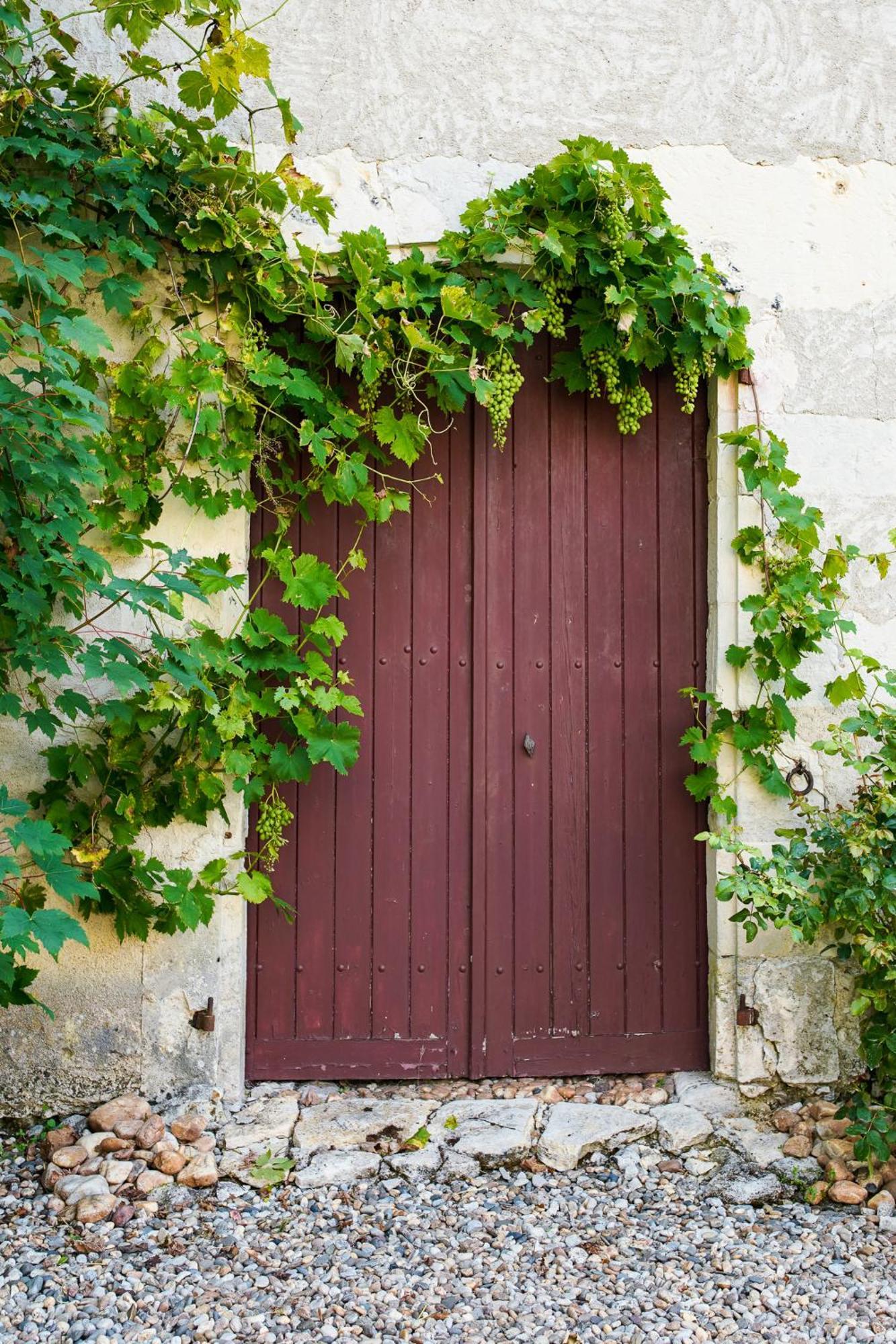 Chateau De Gouyas Montagrier Екстериор снимка